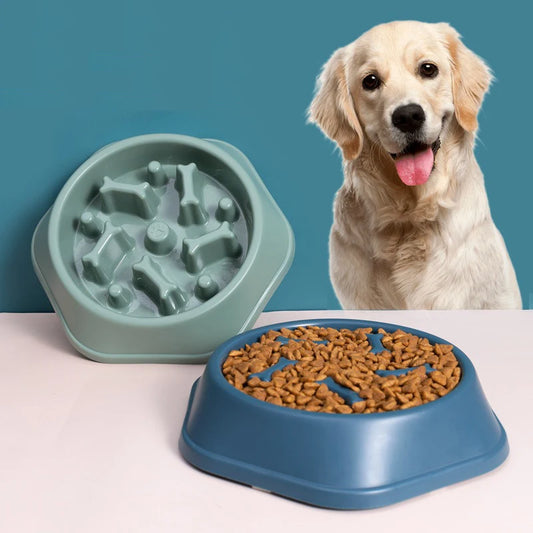 Healthy Lifestyle Slow Feeder Dog & Cat Bowl
