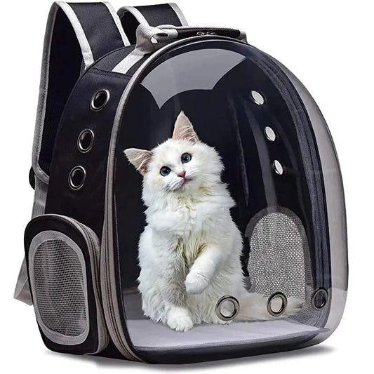 Transparent Mesh Cat Backpack Carrier