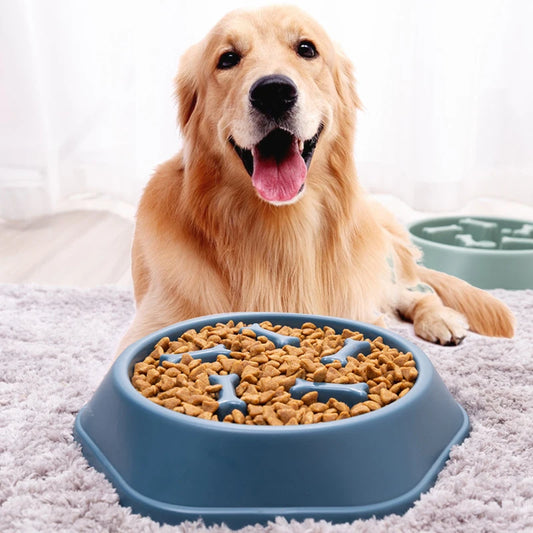 Healthy Lifestyle Slow Feeder Dog & Cat Bowl